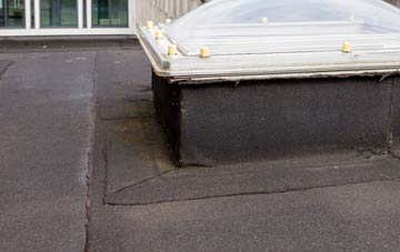 disadvantages of Old Tree flat roofs