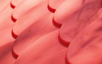 Old Tree plastic roof costs