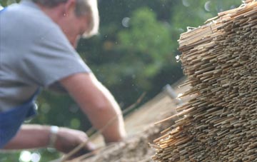 professional Old Tree thatchers