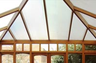 Old Tree conservatory repair companies